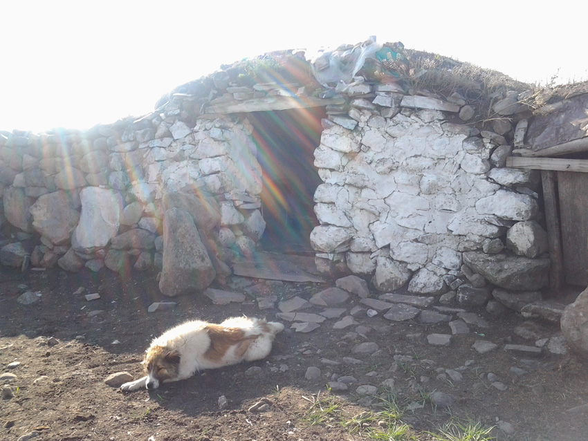 Turquie - Vers Haskoy mon compagnon